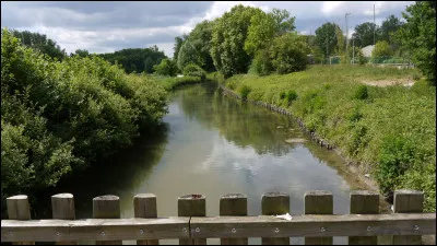 Quelle est la quatrième céréale la plus cultivée en France ?