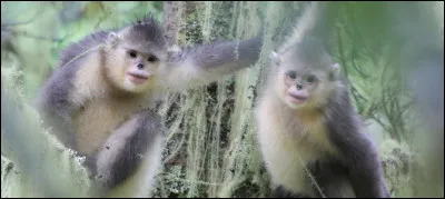 Qui a dit : "tout le malheur des hommes vient de l'espérance" ?