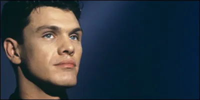 Qui a chanté ''Elle a les yeux revolver'' ?