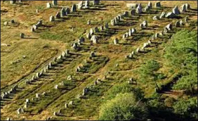 Les alignements de Carnac : Quelle affirmation est inexacte ?