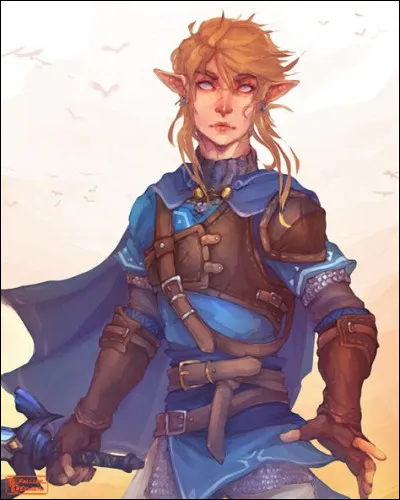 La tunique de prodige de Link est, on dirait, un mélange avec une autre tenue. Cochez la bonne tenue.