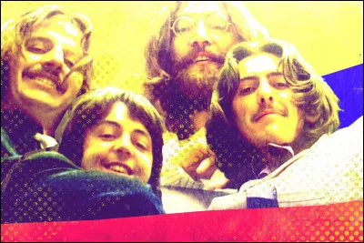 Que veut dire "beatles" en français ?