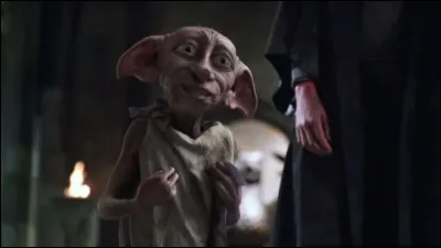 Choisis une image pour Dobby.