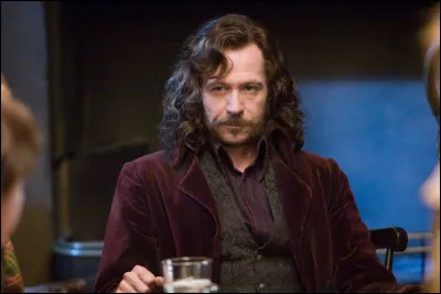 Choisis une image pour Sirius Black.