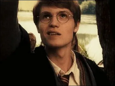 Choisis une image pour James Potter.