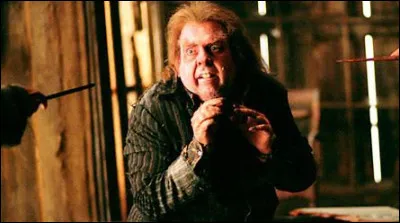 Choisis une image pour Peter Pettigrow.