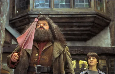 Choisis une image pour Hagrid.