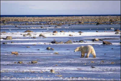 La Baie d'Hudson, au Canada, est l'une :