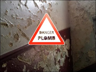 Quel est le nom de la maladie due à une intoxication par le plomb ?