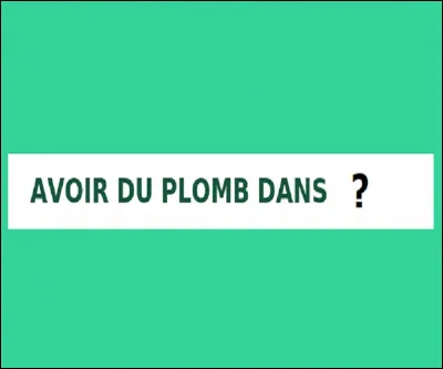 Selon lexpression où a-t-on du plomb lorsquon a perdu de l'efficacité, de la force ?