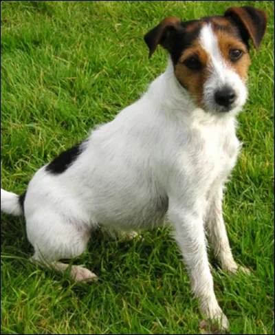 Quelle est celle-ci ?