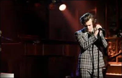 Je te propose ensuite un peu d’anglais ! Ça vaut le coup si c’est Harry Styles, pas vrai ? « Just stop your crying...