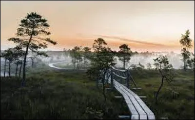 Lituanie, Estonie, Lettonie, j'espère que je ne vais pas me tromper, mais je dirais que la capitale de la Lettonie est Riga.