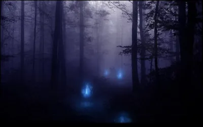 Quels sont ces êtres étonnants ?