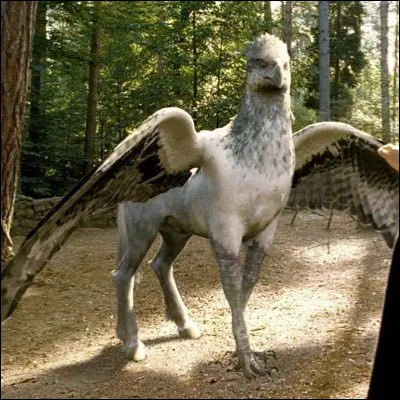 Quel est cet animal que l'on peut retrouver dans "Harry Potter" ?