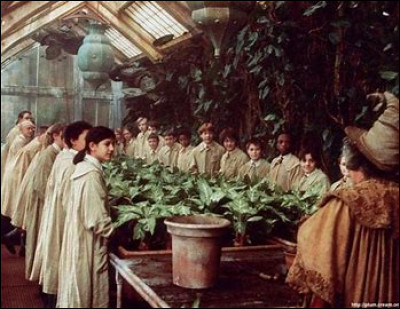 À l'inverse, en botanique, tu as un "20/20". Là, comment te sens-tu ?