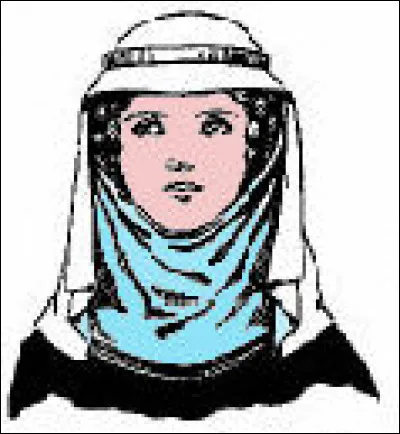 Mode > Durant au moins deux siècles (XIIIe-XIVe) cette pièce vestimentaire (en bleu) fut la règle dans les hautes classes. Son nom ?