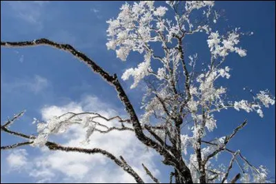 Durant quel mois sera obtenue la 10e Coupe du monde de rugby à XV ?