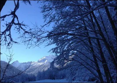 Lequel de ces pays est appelé à devenir le plus peuplé du monde durant 2023 selon l'ONU ?