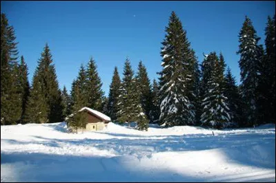 Le 22 janvier 2023, le Nouvel An chinois mettra à l'honneur :