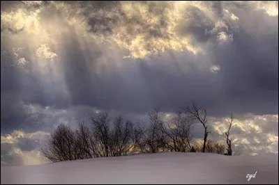 Où la 22e Coupe du monde de football s'est-elle déroulée, en 2022 ?