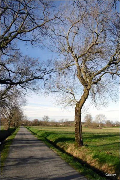 Où les Jeux paralympiques d'hiver se sont-ils déroulés en mars 2022 ?