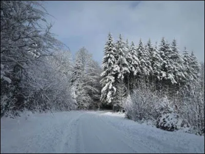 Dans quel pays l'épidémie de variole du singe a-t-elle débuté en 2022 ?