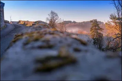 Qui a été élu aux élections présidentielles colombiennes en juin 2022, au deuxième tour ?