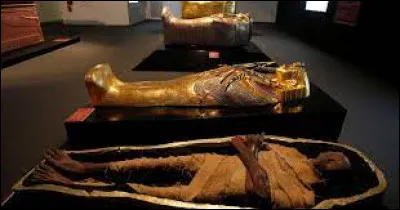 De quel pharaon a-t-on réussi à déchiffrer l'ADN,en 2010 ?