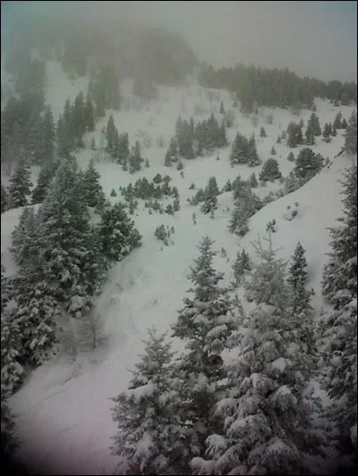 D'où les Etats-Unis se retirent-ils en janvier 1985 ?