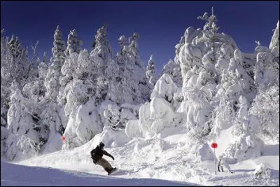 Quel roi décède le 1er janvier 1515 ?