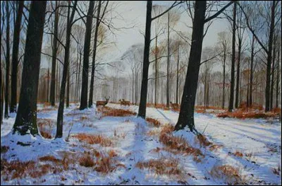 Laquelle de ces villes a été fondée le 1er janvier 1531 ?