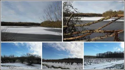 Dans lequel de ces pays l'importation d'esclaves est-elle interdite en janvier 1808 ?