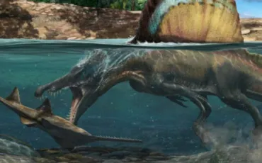 Quiz Dinosaures