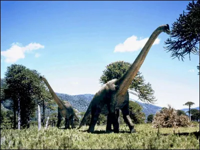 Est-ce vrai qu’un brachiosaurus peut avaler des pierres ?