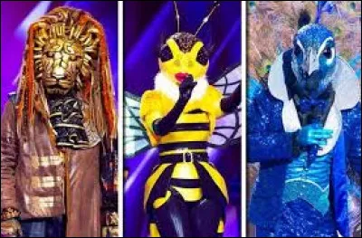 Veux-tu un costume d'animal ?