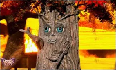 Veux-tu un costume d'objet/autre ?