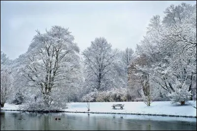 Dans quelle ville les Jeux olympiques de 2024 vont-ils se dérouler ?