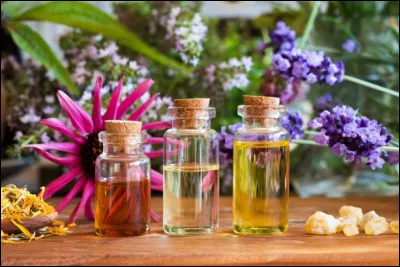 Quel est le nom des liquides dans lequels les parfums de plantes sont concentrés ?