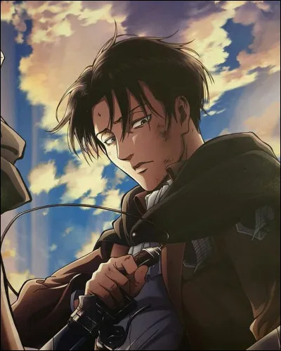 Quel est le MBTI de Livaï Ackerman ?