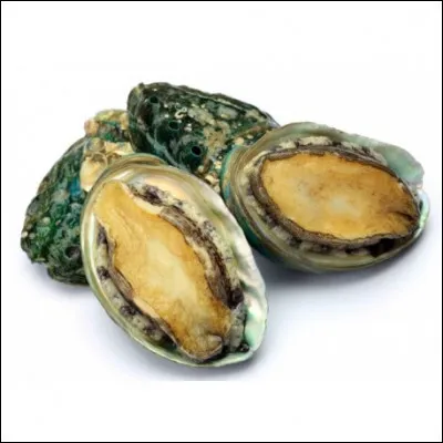 Quel est le nom de ces petits crustacés ?