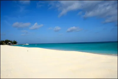 En quelle année est sorti le titre commençant par ces paroles " Sur la plage abandonnée, coquillages et crustacés..." :