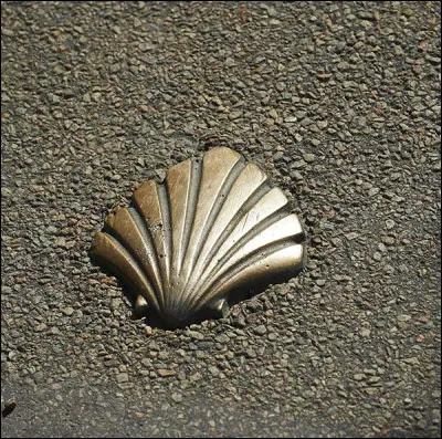 En vous promenant dans certaines villes de France, vous pouvez rencontrer ce coquillage sur les trottoirs. À quoi correspond-il ?