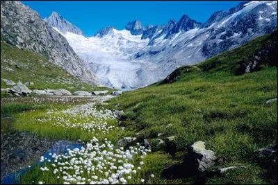 Comment dit-on "bleu" en allemand ?