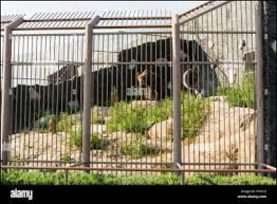 Quelle est la bonne orthographe de ce mot ?