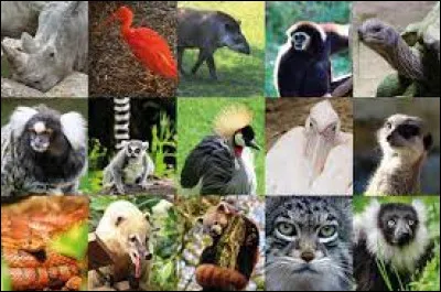 Quelle est la bonne orthographe de ce mot ?