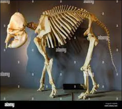 Quelle est la bonne orthographe de ce mot ?