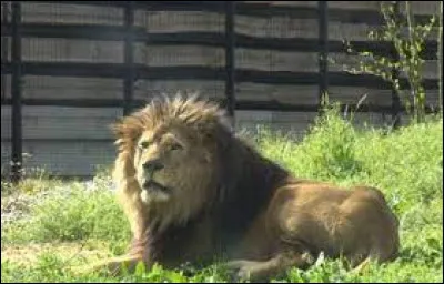 Quelle est la bonne orthographe de ce mot ?