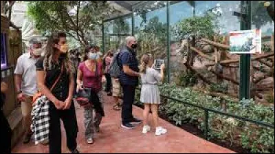 Quelle est la bonne orthographe de ce mot ?