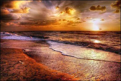 Dans quel domaine Helen Murray Free s'est-elle distingu&eacute;e ?